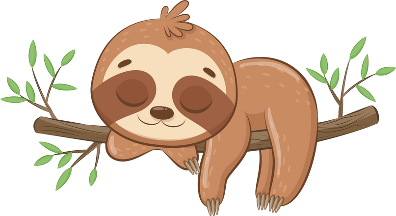 Cute sloth sleeps sweetly.